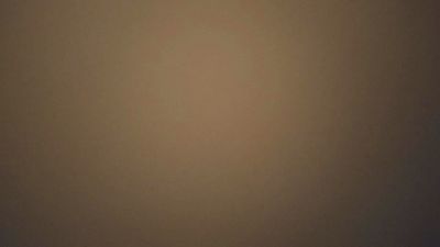 Pedritopalote — Cam4 stream photo (Mar 2026)