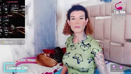 ana_tsxxx — Stripchat stream photo (Dec 2025)