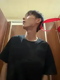 liuhang — вебкам-модель онлайн на stripchat