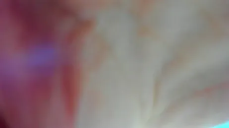 AishaRouhi — вебкам-модель онлайн на stripchat