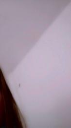 Liacc — Cam4 stream photo (Mar 2026)