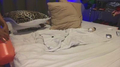 demarco47 — Cam4 stream photo (Apr 2026)