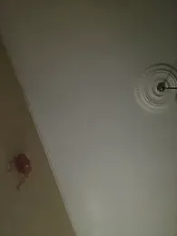 pasajuis — stripchat