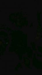 nancyrossy2 — Cam4 stream photo (Jul 2025)