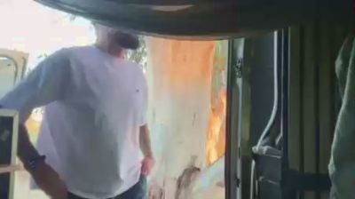 MascVersFFun — Cam4 profile photo