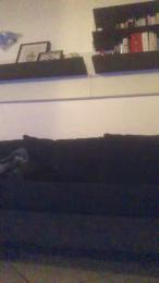 Alex77777777 — Cam4 stream photo (Mar 2026)