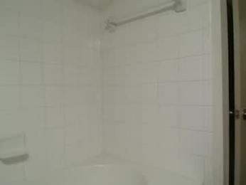 bigdicktrannynicole — Chaturbate stream photo (Mar 2026)