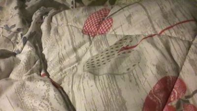 flyondaduo — Cam4 stream photo (Mar 2026)