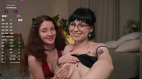 TeaseDealer — stripchat