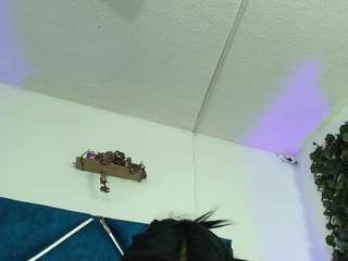 alexarousse4u — Camsoda stream photo (Jun 2026)