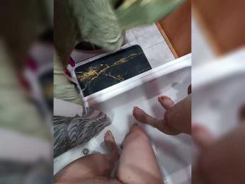 SexyCouple69 — вебкам-модель онлайн на bongacams