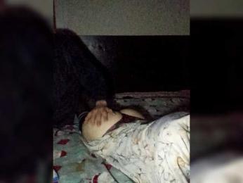 DimaSexIva — Bongacams stream photo (Feb 2026)