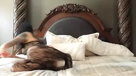 AllOiledUp — вебкам-модель онлайн на stripchat