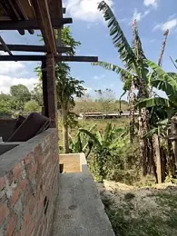 Jacksonfranco — вебкам-модель онлайн на stripchat