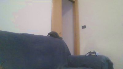 zena_xxx — Cam4 stream photo (Mar 2026)