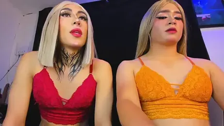 naughty_trans_dolls — Stripchat stream photo (Aug 2026)