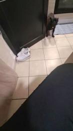 Diavoletta77 — Cam4 profile photo