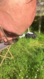 vincedu86hot — Cam4 stream photo (Apr 2026)