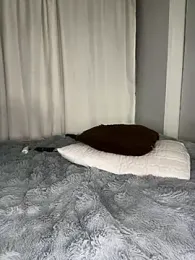 Cataleyasweetbooty — Stripchat stream photo (Aug 2026)