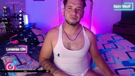 Xein_WoIf — stripchat