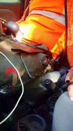 lumberjack3434 — Cam4 stream photo (May 2026)