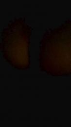 Sexdedos — Cam4 stream photo (Dec 2025)