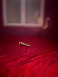 Doctoor-Maya — вебкам-модель онлайн на stripchat