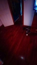 Nenefranhot33 — Cam4 stream photo (Mar 2026)