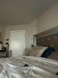 chicagobabe312 — Stripchat stream photo (May 2026)
