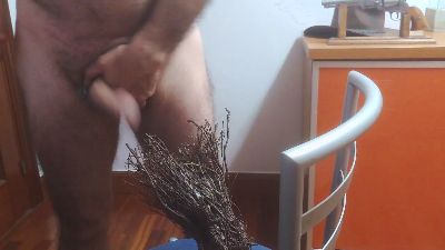 txintxo — вебкам-модель онлайн на cam4