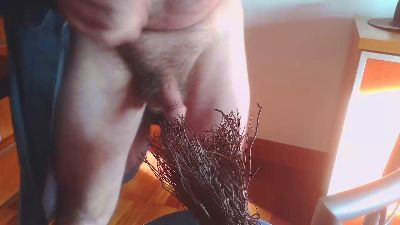 txintxo — Cam4 stream photo (Feb 2026)