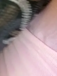 Yomi009 — Stripchat stream photo (Sep 2026)