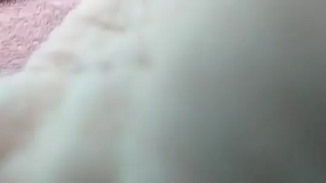 lia_verse — Stripchat stream photo (Sep 2026)