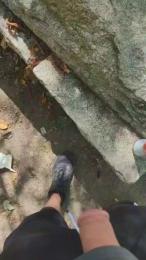 Sugar_boy_89_ — Cam4 stream photo (Sep 2026)