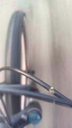 gutig_14 — вебкам-модель онлайн на cam4