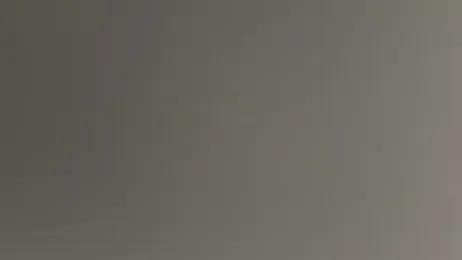 Lady_X69 — Stripchat stream photo (Jul 2025)