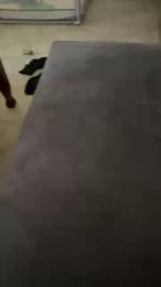 Pollonmario — Cam4 profile photo