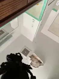 Mr11inchesnluvv — Stripchat stream photo (Apr 2026)