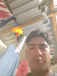 algila08 — stripchat
