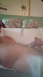 gspinoyeyahooe1 — вебкам-модель онлайн на cam4