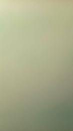gallo186 — Cam4 stream photo (Aug 2026)