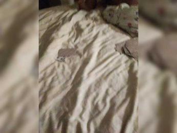 purpur33 — Bongacams stream photo (Feb 2026)