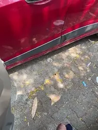 Dakku_69 — вебкам-модель онлайн на stripchat