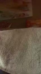 VickyCharm — Cam4 stream photo (Aug 2026)