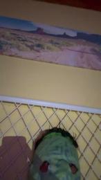 hottyboy1o — Cam4 stream photo (Jan 2026)