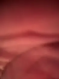stevo170t — Stripchat stream photo (Sep 2026)
