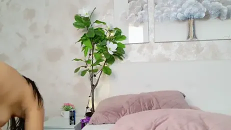 LollitaDreem — Stripchat stream photo (Aug 2025)