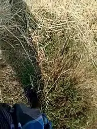 dolphiinn — Stripchat stream photo (Mar 2026)