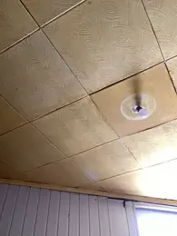 Rowing199456 — Stripchat stream photo (Jan 2026)