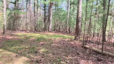 MikeSpyke — Cam4 stream photo (Apr 2026)